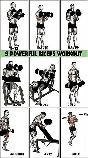 Step-by-Step Full Body Workout | Strength & Conditioning