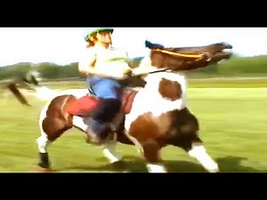 Lady Horse Training - @RidingLoversOfficial - HD