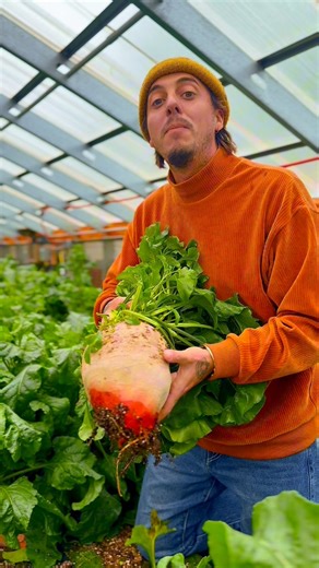 56K views · 726 reactions | Our big spring festival is coming up May 4 and 5! Don’t miss out on our longest running event. Loads of speakers, vendors, exhibits and amazing music. Held at our Mansfield Missouri Farm. | Baker Creek Seeds | Facebook