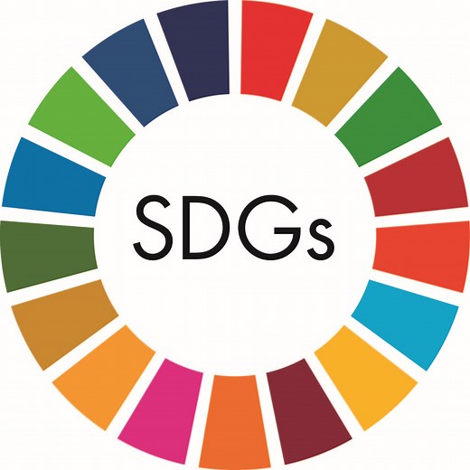 SDGs達成のためにプログラミングができること