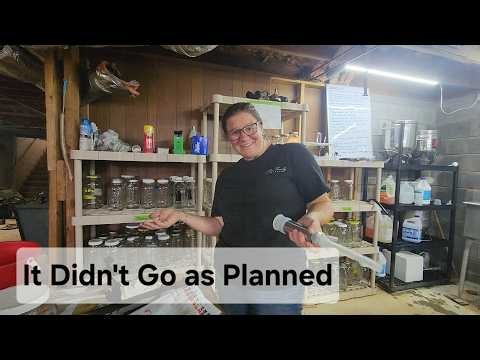 Fixing My Melasty Milker + Starting Bottle Calves on a New Cow