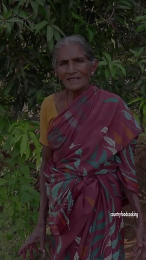 100K views · 2.2K reactions | CACTUS fruit Juice | traditional food |countryfoodcooking | Country Food Cooking | Facebook