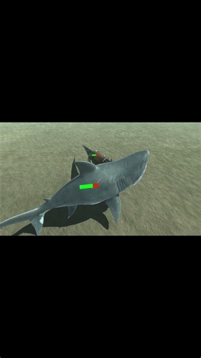 Megalodon vs T-Rex Battle #arbsbattles #dinosaur #shorts