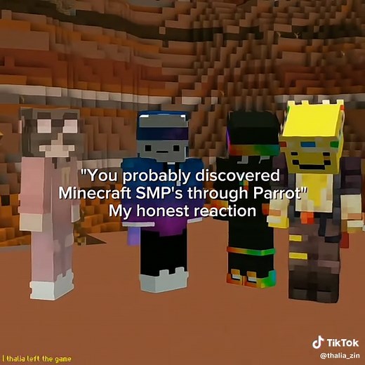 First Minecraft SMP Video Experience
