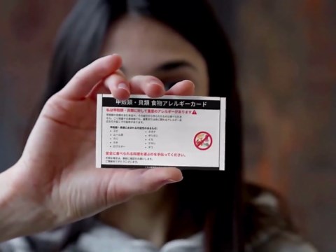 Shellfish Allergy Card | Printable Bilingual English & Japanese for Restaurant, Travel, Airlines (digital Download) - Etsy