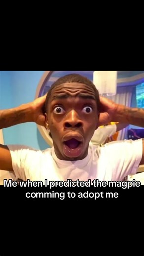 Predicted the Magpie in Adopt Me!