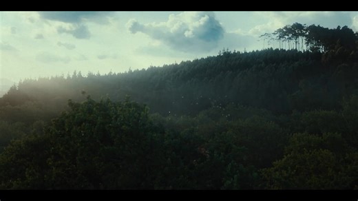 72K views · 312 reactions | KFC HAS GONE CLUCKING MAD WITH BIZARRE...