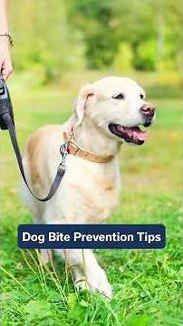 How to Prevent Dog Bites