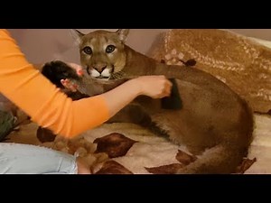 Messi after taking a shower.