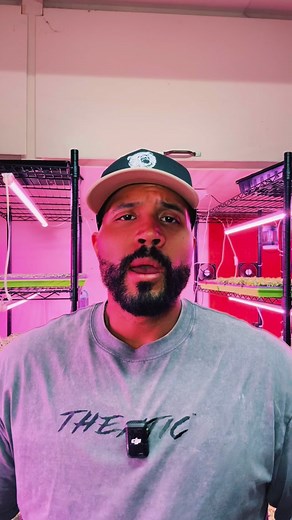 734 reactions · 114 shares | 勺 Your Daily Dose of Women’s History…...