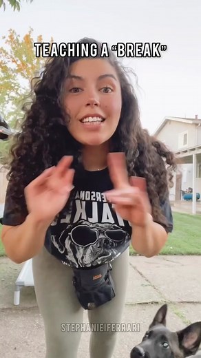 Dog Training: Teach the 'Break' Command for Easy Stays