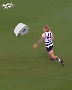 What it's like going to the shops at the moment 🧻🛒 | Geelong Cats