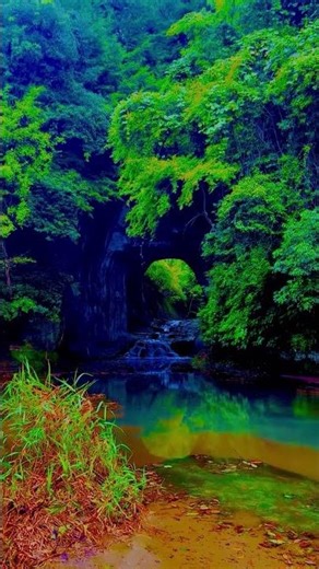 Indians in Japan 🇮🇳🇯🇵 | Travel, Family & Daily Life Vlogs