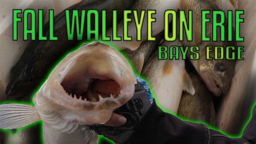 This episode of Fisherman's Digest showcases a productive day of late fall walleye fishing out of Bays Edge Resort in Port Clinton, Ohio.Techniques such as incremental line adjustments to provoke following fish are highlighted, resulting in a full box of quality eaters and more throughout the day. Anglers interested in fishing this fishery are encouraged to utilize the facilities at the Bays Edge Experience, which offers lodging, an on-site bait shop, and access to professional charter services.
