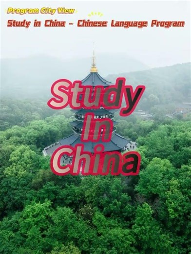 LOW COST chinese language program