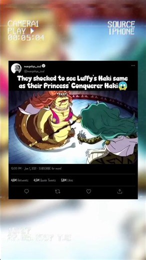 Moment when Kuja Pirates shocked to see Luffy's Conqueror Haki | One Piece #luffy #boa #onepiece