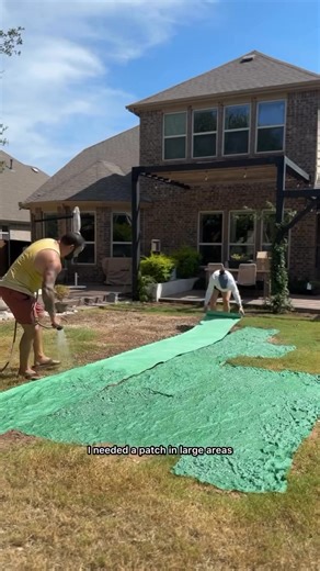 Two week grass seed mat update 💚 it’s growing denser and longer by the day but so are the weeds and I can’t wait to be able to mow! Comment SEED for the details to the mat we used 🫶🏻 #itallstartsfromseed #backyardglowup #backyardinspo #grassisgreener #sod #diybackyard | Olivegrey Avenue
