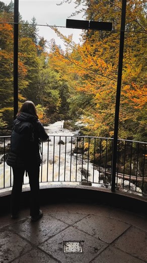 5.8K reactions · 396 shares | This is how Scotland looks during autumn #Scotland #autumncolors #explorescotland | bgs photography | Facebook