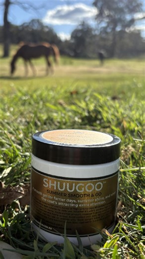 SHUUGOO️™ is probably going to be sold out by the time you see this reel. It’s been a huge hit with our customers for summer horse care – an aromatic all natural gel that adds a pleasant scent to your grooming kit. Horses love it… and let’s just say it’s not so popular with the buzz crew! 🐴🌿☀️ Good news - we still have some Mini Sizes in stock. #horsegrooming #shuugoo #stablestyle #thehoofco | The Hoof Co