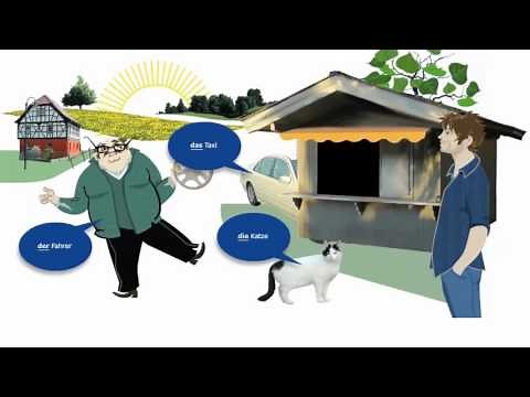 Learn German (A1-A2) | HARRY – Grammar | der, die, das