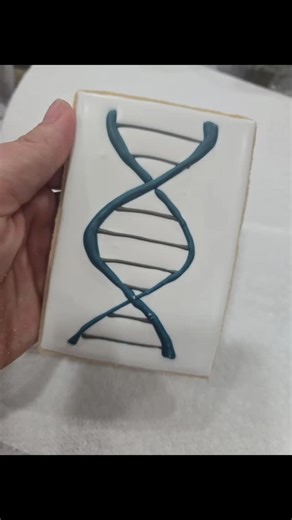 The Science Collection Baking up something genetically delicious. #customcookies #cookieart #biology #cookiesbygigi #fypage | Cookies by Gigi