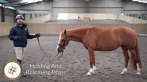 Improve Your Horse's Sensitivity & Responsiveness https://dressagetraining.tv/groundwork-certification-programme/ From beginner to lateral work, from the ground to ridden, step by step in bite size chunks. This is the groundwork system for riders - train the responses on the ground making training anything from halt to half-pass much easier. | DressageTraining.TV