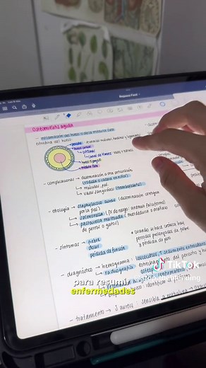 Apuntes digitales en Goodnotes Tips para resumir ❤️🫂 #estudiantedemedicina #medstudent #medicalstudent #internadomedico #studywithme #studyinspo