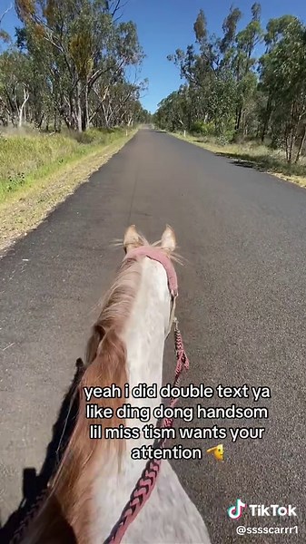 scarlettrosee.6 (@scarlettrosee.6) - Understanding Double Texting and Its Social Implications