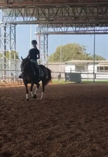 Great lesson yesterday💪🏼🔥 #sara #frypgシ #goodquality #fryoupage #fry #❤️🇮🇱 #trot #mediumtrot #halfpass #canter