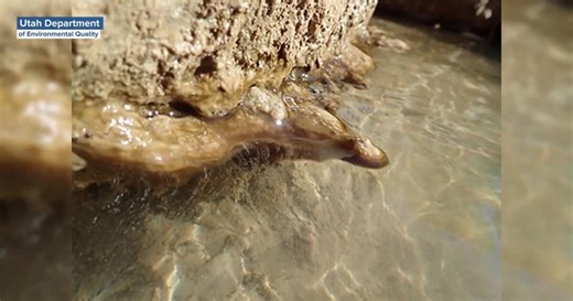 Utah officials warn not to swim in Sand Hollow Reservoir due to toxic algae