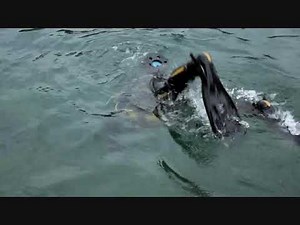 Vintage Scuba Diving No 132