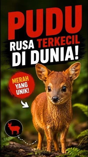 Rusa Mini Ini Bikin Gemes Seketika 😭🦌 #shorts #fyp #trending