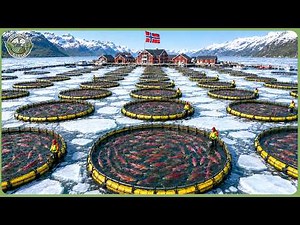 How Norway Turns 2.7M Frozen Acres Into Massive Modern Farms - Billion Dollar Arctic Farming