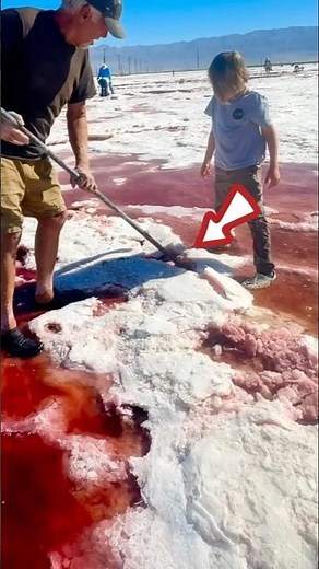 This is rarer than anything