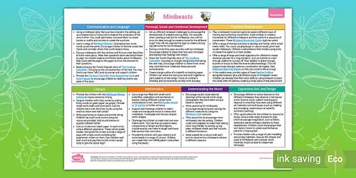 EYFS Reception Topic Planning Web: Minibeasts