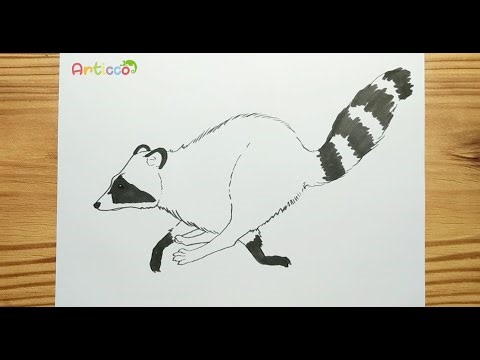 HOW TO DRAWING RACOON RUNNING