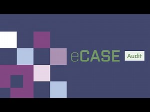 eCASE Audit