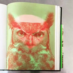 “The red spectrum slightly suppresses activity in the left or logical hemisphere.” —Dr. Jacoby (in http://twin.pk/thesecrethistoryoftwinpeaks) #TheOwlsAreNotWhatTheySeem | Welcome to Twin Peaks