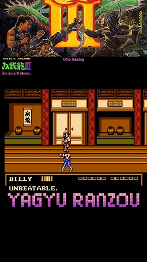 15K views · 309 reactions | Double Dragon 3: The Sacred Stones (NES) - Yagyu Ranzou #doubledragon #doubledragon3 #nes #nesgames #retrogaming #retrogames #classicgaming #gaming #oldgaming #classicgames #vdiogaming #oldgames #nintendo #fyp #fypシ #acclaim #technos #gameplay | VDio Gaming | Facebook