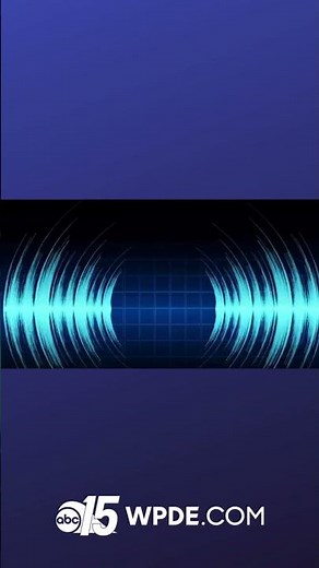 'We're going to put him down:' 911 calls released in deadly SC shootout