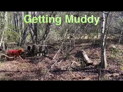 Courder Moments - Getting Muddy