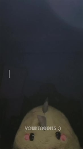 Understanding Random Alpha Behaviors in Social Dynamics