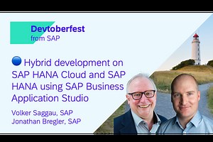 🔵 Hybrid development on SAP HANA Cloud and SAP HANA using SAP Business Application Studio