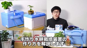DIYで野菜を水耕栽培！手作り水耕栽培装置の作り方,道具,材料【発泡スチロール】 | やさいガーデン