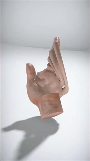 Realistic Human Hand Model