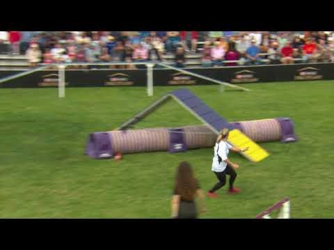 Dog Sports: Small Dog Agility Competition