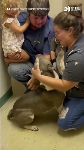 Missing dog reunited with emotional family