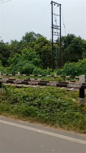 281 reactions · 11 shares | দেখেছি রুপসাগরে # | Nayana Joarder Das | Facebook