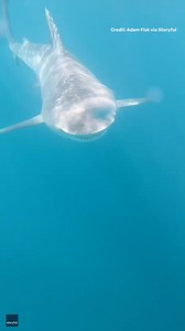 Imagine looking down and realising what was pulling you along. | IFLScience