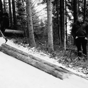 Horses were the primary mode of transportation in the past كانت الخيول هي وسيلة النقل الأساسية في الماضي #woodwork #carpenter #carpentry #woodworking #woodworkingtips #wood | Hamza EL Mahkak